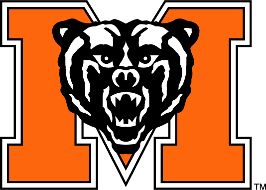 Mercer Bears iron ons